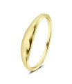 Silver Ring NSR-4321
